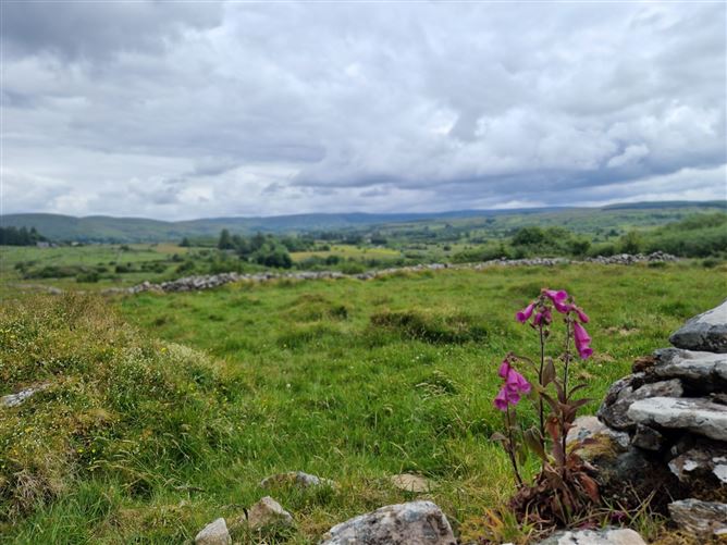 Carn Hill, Callow, Foxford, Co. Mayo