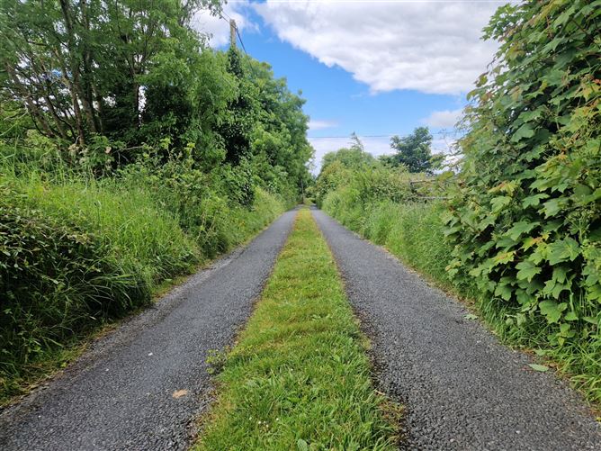 Carn Hill, Callow, Foxford, Co. Mayo