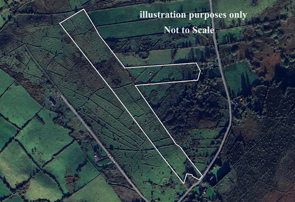 Carn Hill, Callow, Foxford, Co. Mayo