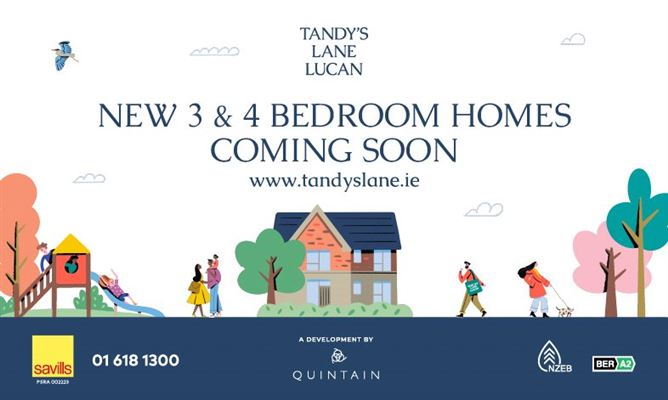 Main image for Tandy's Lane,Tandy's Lane,Adamstown,Lucan,Co. Dublin