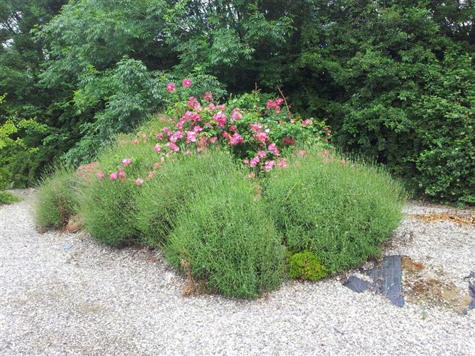 Killeens, Wexford Town, Co. Wexford