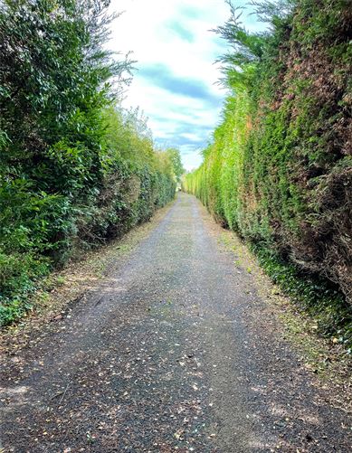 Rosehill House, Golf Links Road, Roscommon, Co. Roscommon