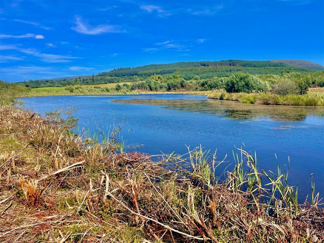 Doonane, Newport, Tipperary