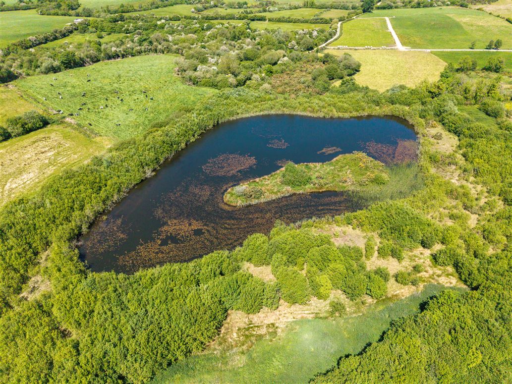 Doonane, Newport, Tipperary