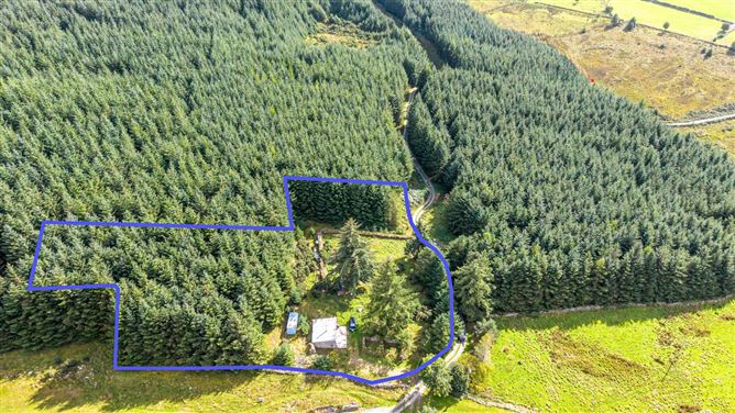 Quintagh, Valleymount, Blessington, County Wicklow