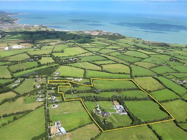 Image for Wish Willow, Whitepark, Arklow, Co. Wexford