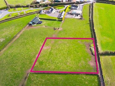 Cappanacloghy, Abbeyleix, Co. Laois