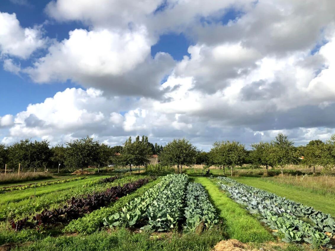 Harvest Retreat,La Gripperie-Saint-Symphorien, Nouvelle-Aquitaine, France