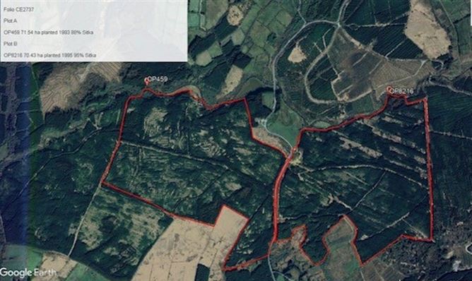 Forestry Sale 2 Gortaderra, Co. Clare