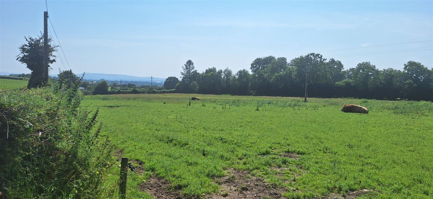 .50 Acre Site, Kilcarrig, Bagenalstown, Co. Carlow