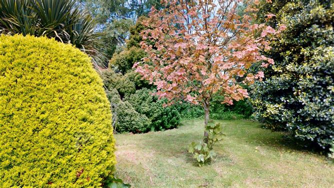 Photo 9 of 27 — Coolroe Lodge, Dunbrody, Campile, Co. Wexford