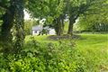 Ryehill , Monivea , Co. Galway