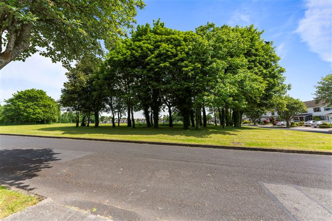205 Delwood Lawn, Castleknock, Dublin 15