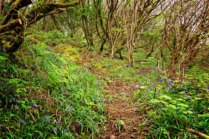 Lorien, Lower Rosses, Rosses Point, Co. Sligo
