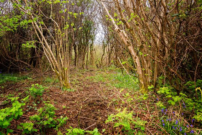 Lorien, Lower Rosses, Rosses Point, Co. Sligo