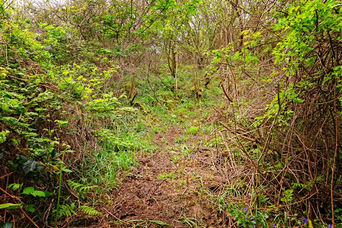 Lorien, Lower Rosses, Rosses Point, Co. Sligo