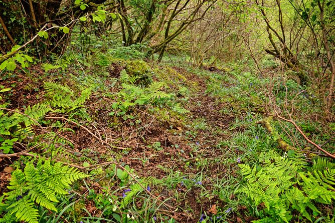 Lorien, Lower Rosses, Rosses Point, Co. Sligo