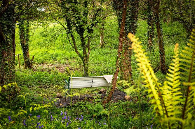 Lorien, Lower Rosses, Rosses Point, Co. Sligo