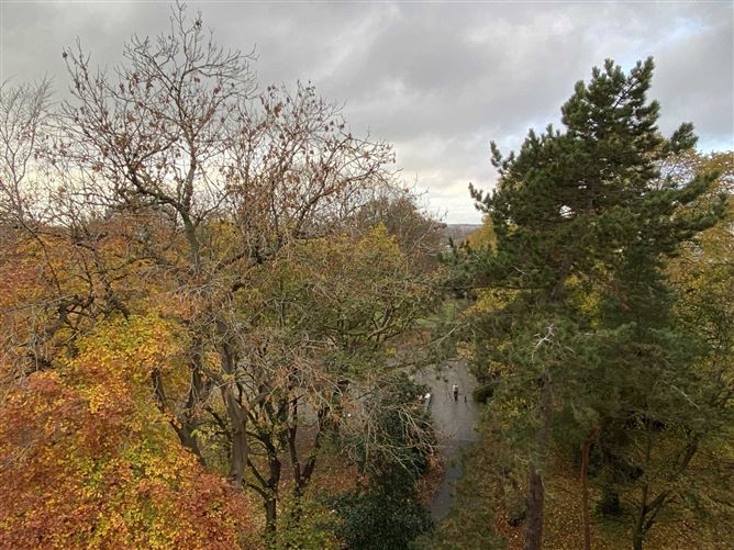 63 The Cedars, Herbert Park, Ballsbridge, Dublin 4, County Dublin