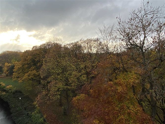 63 The Cedars, Herbert Park, Ballsbridge, Dublin 4, County Dublin