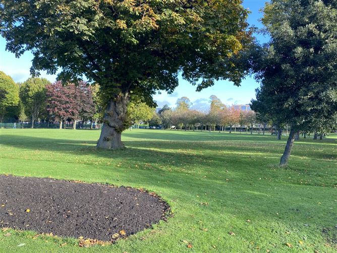 63 The Cedars, Herbert Park, Ballsbridge, Dublin 4, County Dublin