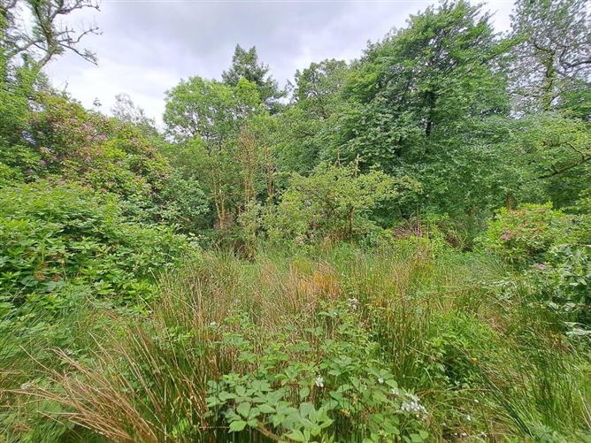 Tullynascreen, Dromahair, Leitrim