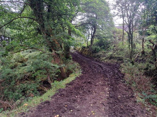 Tullynascreen, Dromahair, Leitrim