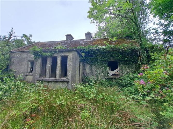 Tullynascreen, Dromahair, Leitrim