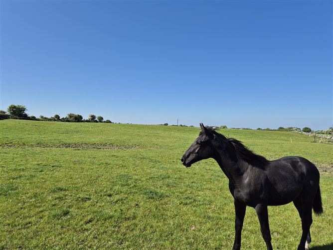 Farm Road, Brierfield, Moylough, Co. Galway