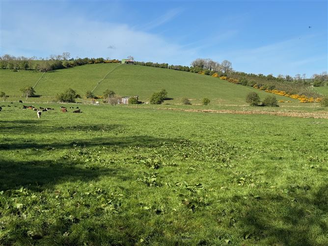 Land c. 55 Acres, Milltown, Dunlavin, Wicklow