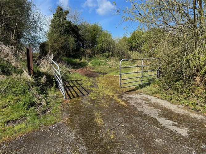 Land c. 55 Acres, Milltown, Dunlavin, Wicklow