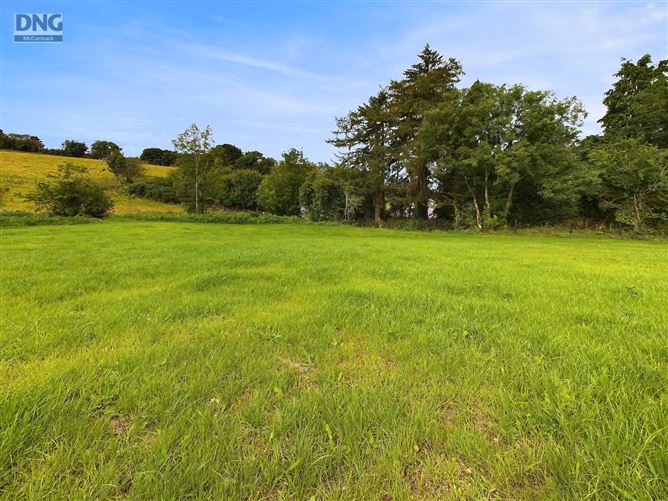Aghowle Lower, Coolkenno, Tullow, Co. Wicklow
