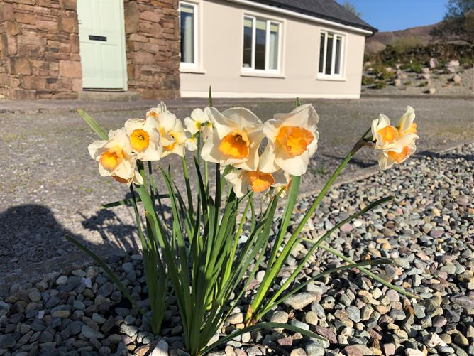 Damson Cottage Glenbeigh,Vacation Rental in Kerry, Ireland