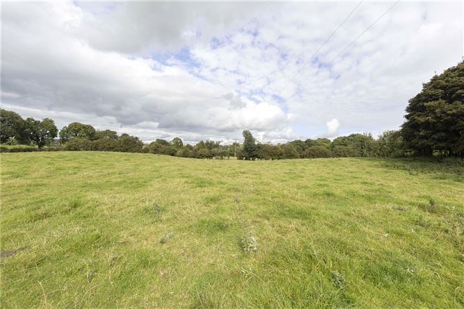 Clonkeeffy, Oldcastle, Co. Cavan