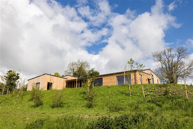 Buttercup Meadow,The Rectory, Somerset, United Kingdom