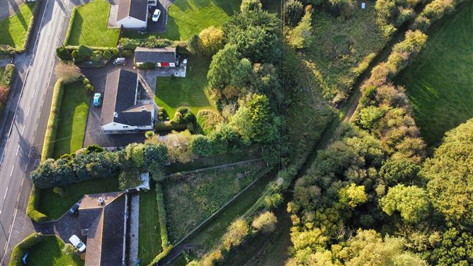 Debicot, Mountmellick, Laois