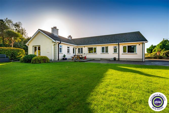 Debicot, Mountmellick, Laois