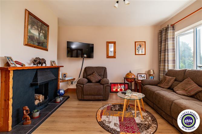 Debicot, Mountmellick, Laois