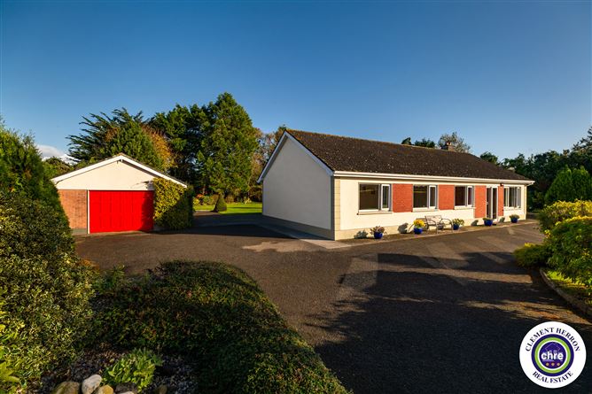 Debicot, Mountmellick, Laois
