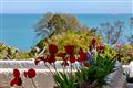 Palermo, Killiney Hill Road