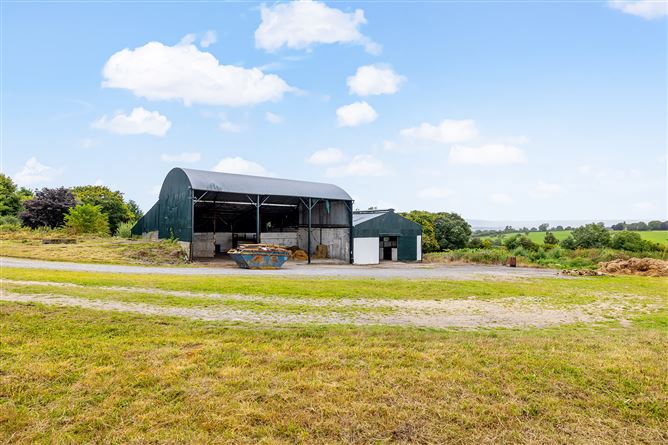 Kilgraney Stables Kilgraney Bagenalstown Co. Carlow, Bagenalstown, Carlow