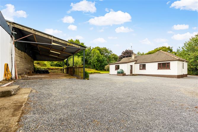 Kilgraney Stables Kilgraney Bagenalstown Co. Carlow, Bagenalstown, Carlow