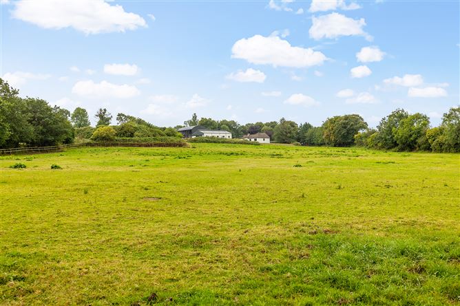 Kilgraney Stables Kilgraney Bagenalstown Co. Carlow, Bagenalstown, Carlow