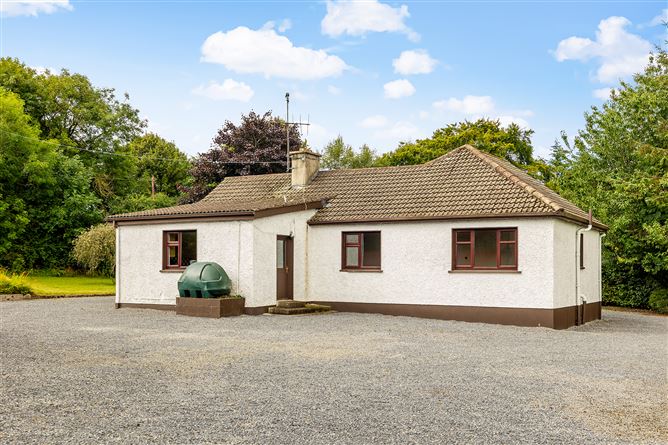 Kilgraney Stables Kilgraney Bagenalstown Co. Carlow, Bagenalstown, Carlow