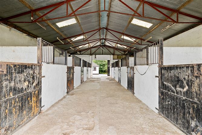 Kilgraney Stables Kilgraney Bagenalstown Co. Carlow, Bagenalstown, Carlow