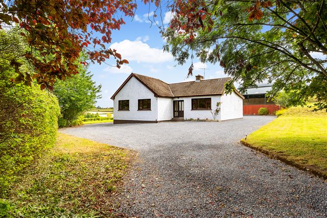 Kilgraney Stables Kilgraney Bagenalstown Co. Carlow, Bagenalstown, Carlow