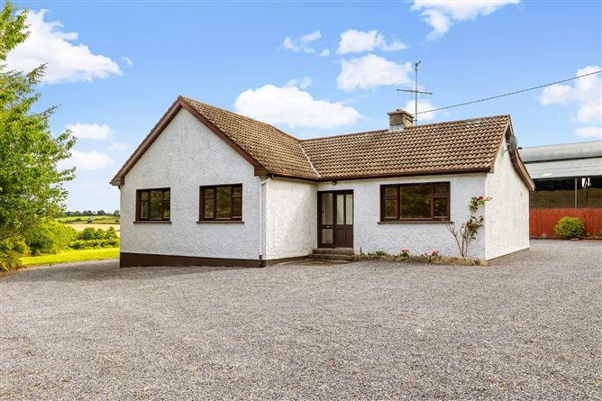 Kilgraney Stables Kilgraney Bagenalstown Co. Carlow, Bagenalstown, Carlow