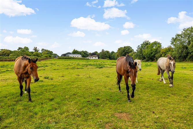 Kilgraney Stables Kilgraney Bagenalstown Co. Carlow, Bagenalstown, Carlow
