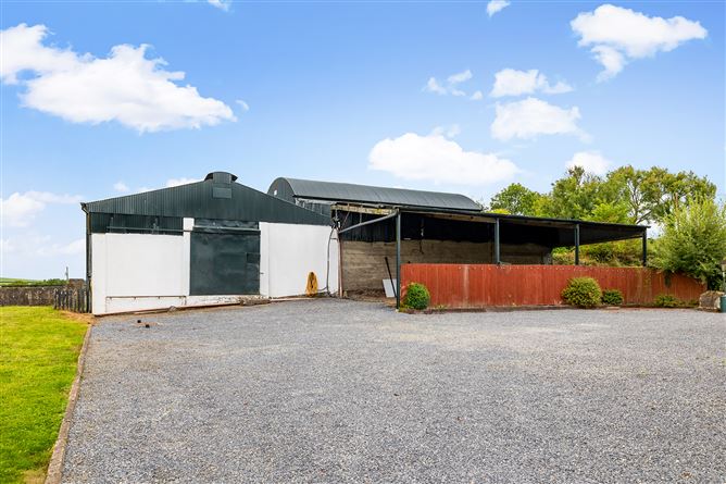 Kilgraney Stables Kilgraney Bagenalstown Co. Carlow, Bagenalstown, Carlow