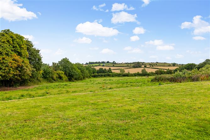 Kilgraney Stables Kilgraney Bagenalstown Co. Carlow, Bagenalstown, Carlow